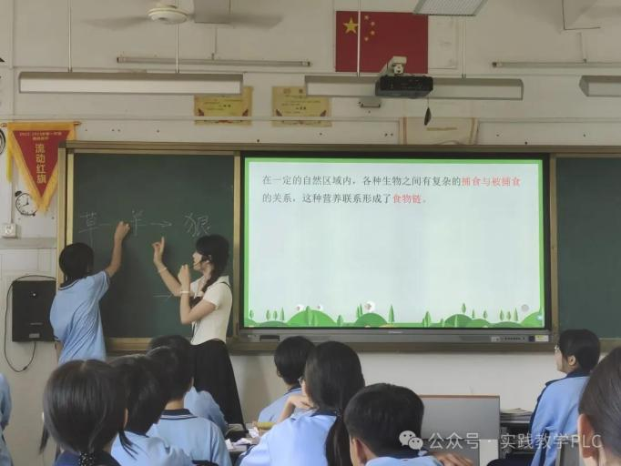 定安县教育名师倾囊相授 助力实习生稳步成长