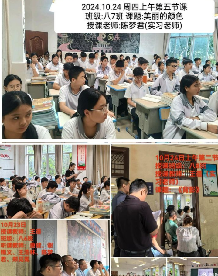 启智润心，艺彩纷呈：记实习生全学科汇报公开课璀璨篇章 ——陵水民族中学实习第八周