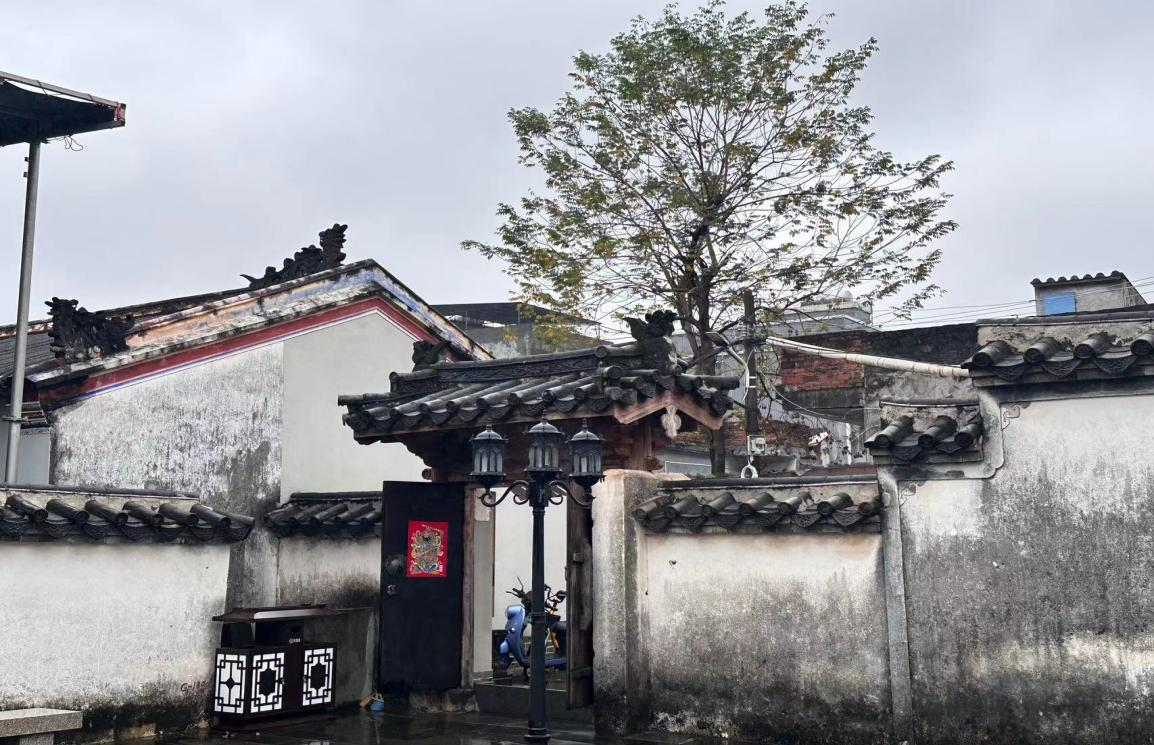 2024年“教授博士服务基础教育项目” 暨“美育浸润行动”推进工作纪实（2-3月）