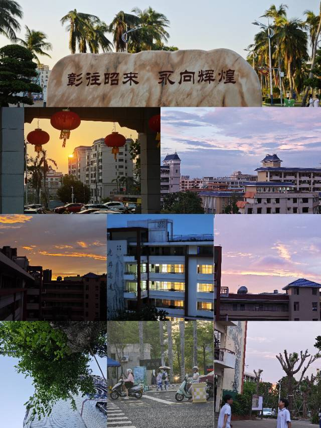 实习落幕,梦想启航