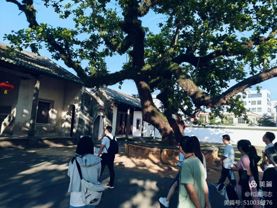 共话教育，情谊交融