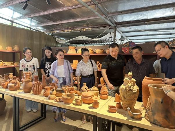 海南师范大学“美育浸润行动”“教授博士服务基础教育”美育特色课程建设帮扶活动