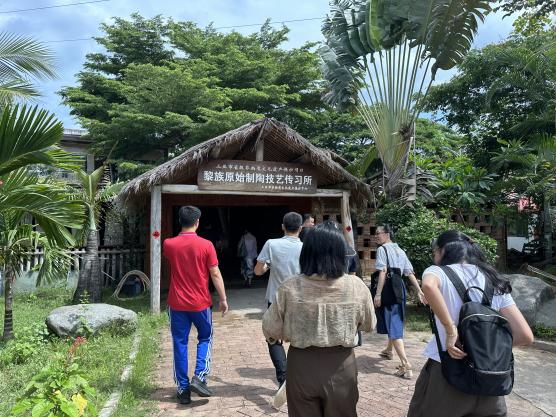 海南师范大学“美育浸润行动”“教授博士服务基础教育”美育特色课程建设帮扶活动