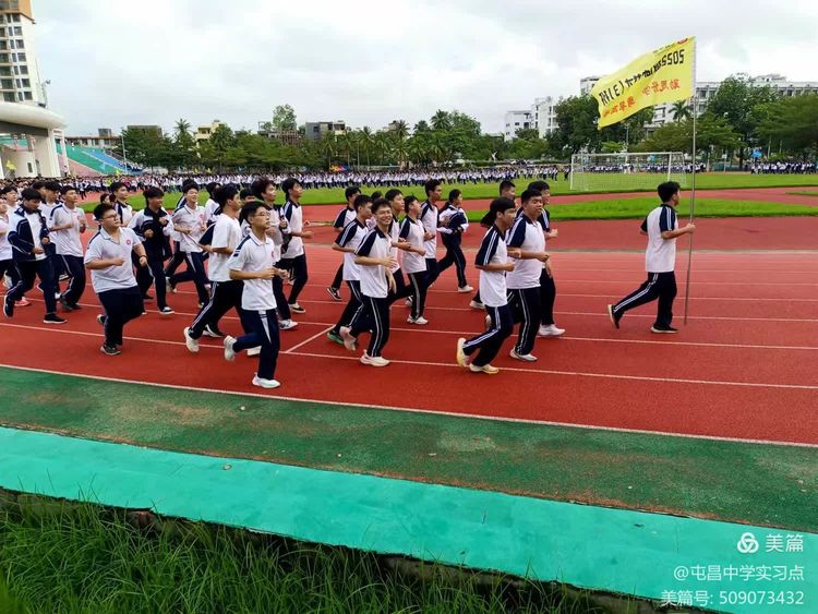 解码生命奥秘，领略生物教学的实验魅力 ——屯昌中学生物组第四周实习总结