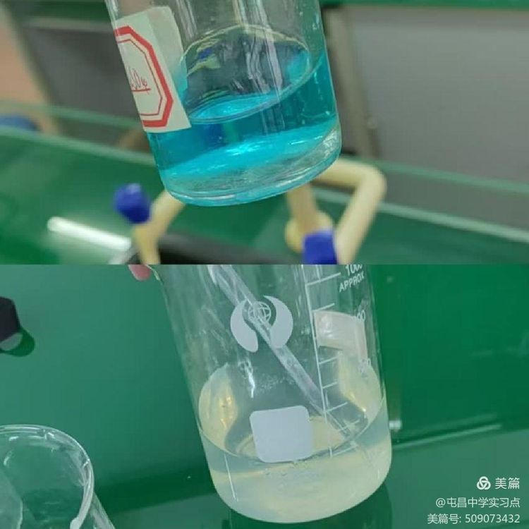 解码生命奥秘，领略生物教学的实验魅力 ——屯昌中学生物组第四周实习总结