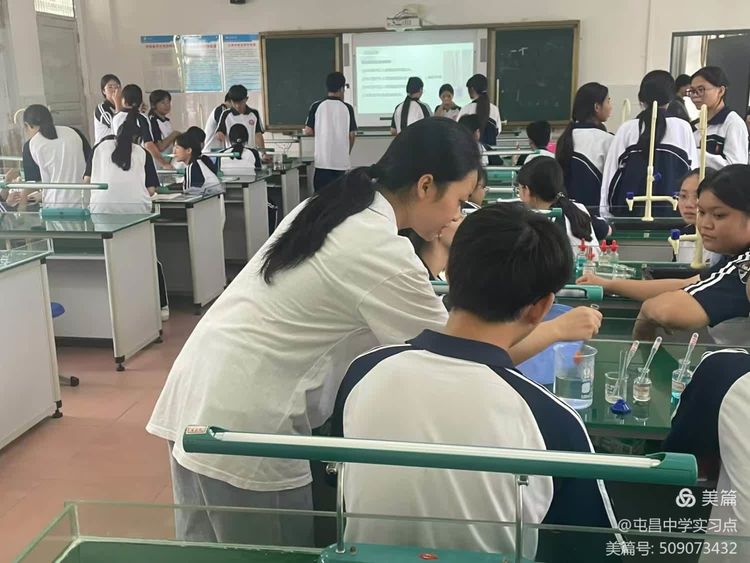 解码生命奥秘，领略生物教学的实验魅力 ——屯昌中学生物组第四周实习总结