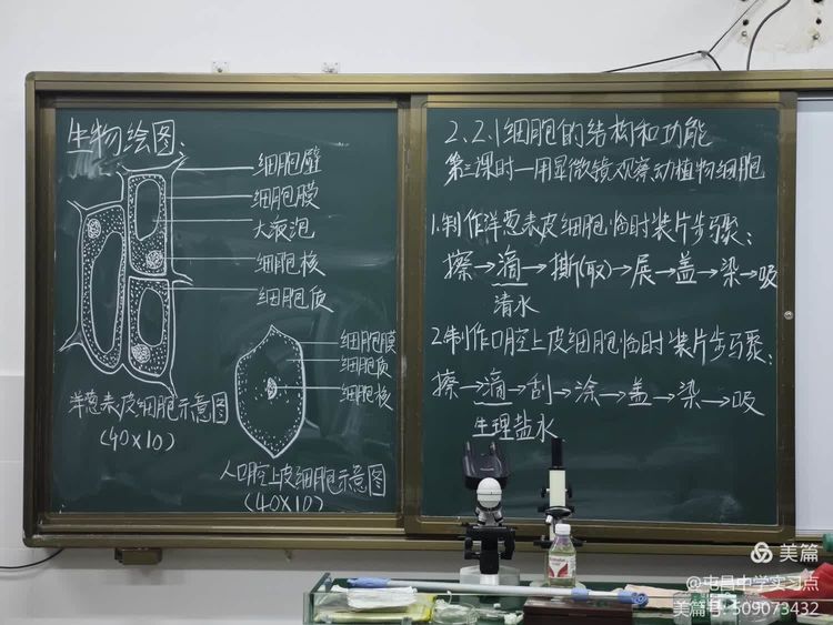 解码生命奥秘，领略生物教学的实验魅力 ——屯昌中学生物组第四周实习总结