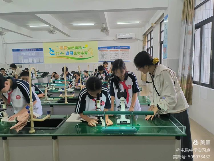 解码生命奥秘，领略生物教学的实验魅力 ——屯昌中学生物组第四周实习总结