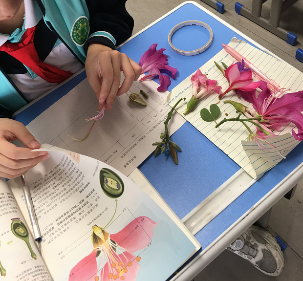 “教授博士团队服务基础教育”项目之推海南师大海口新海学校生物学科活动纪要（五）