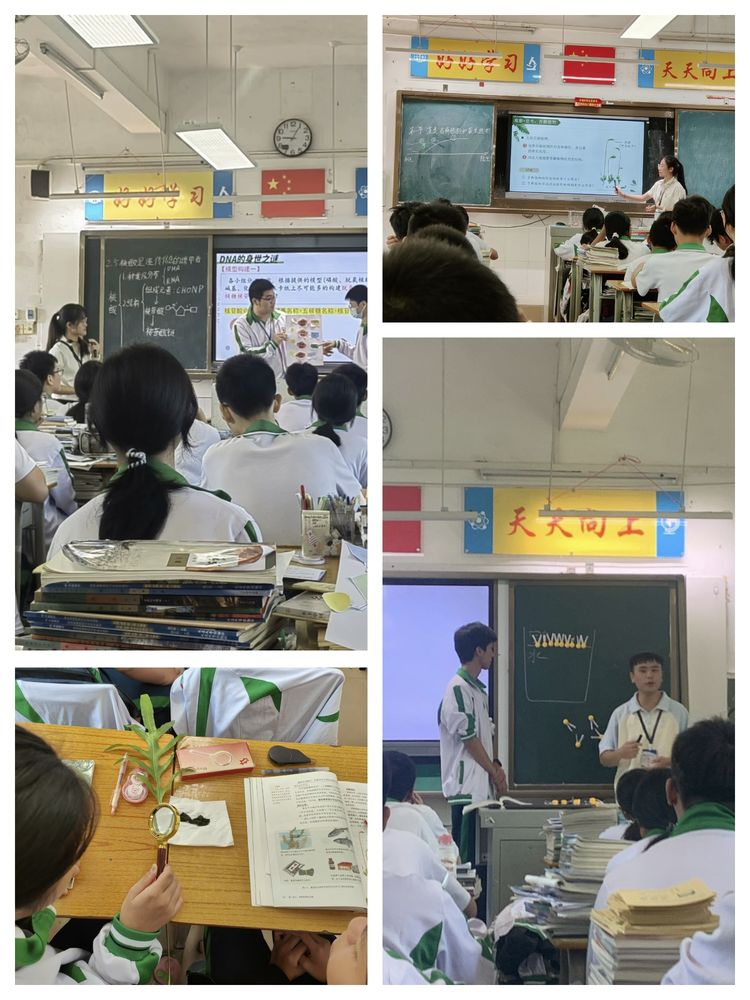 璞玉试锋芒 课堂蕴芬芳 ——嘉积二中全体实习生汇报课活动纪实
