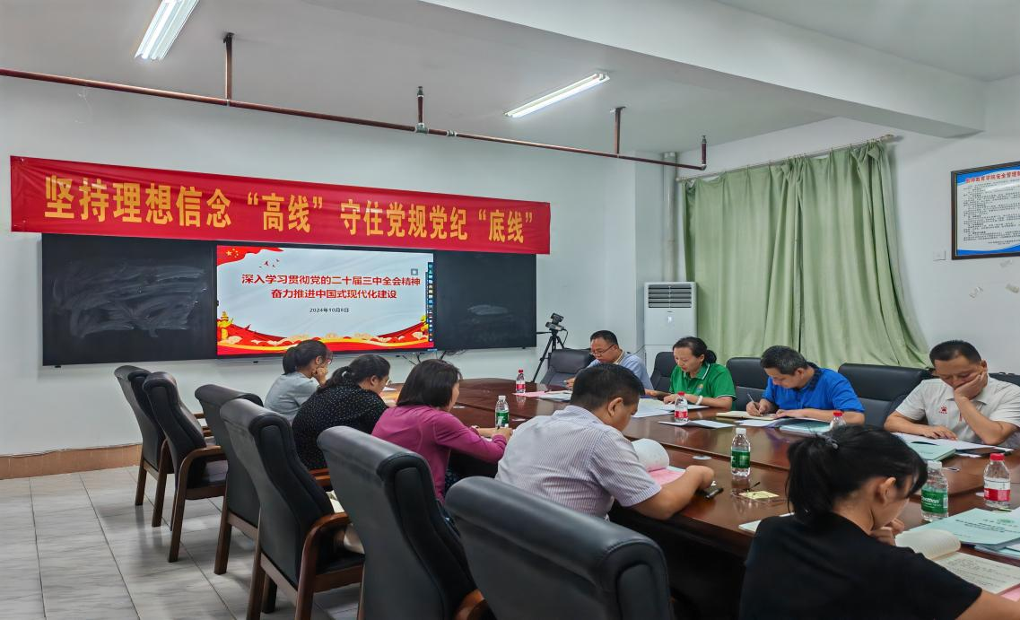 海南师范大学教师教育学院党委理论学习中心组学习会 （专题学习党的二十届三中全会精