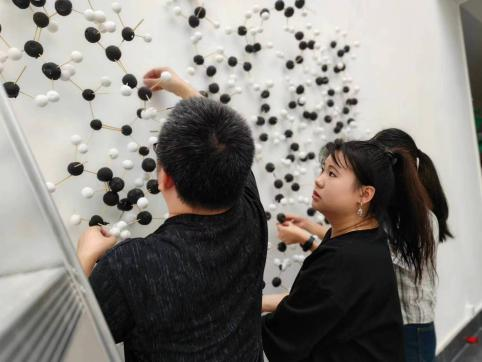 我院课题成果《橡胶分子链探秘》入选第六届“杨之光杯”全国青少年创意美术双年展