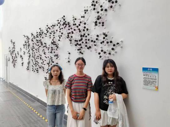 我院课题成果《橡胶分子链探秘》入选第六届“杨之光杯”全国青少年创意美术双年展